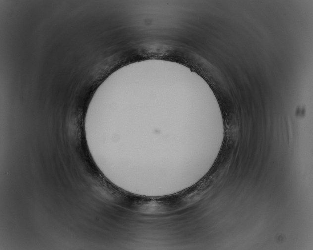 X0000100750460200807171416