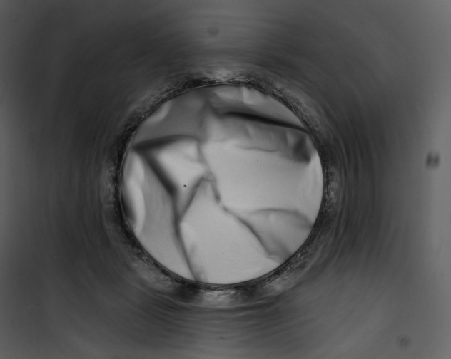X0000100750461200807171416
