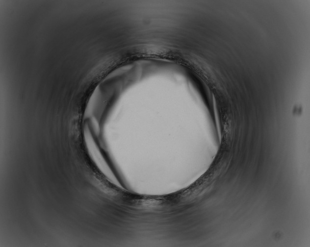 X0000100750462200807171416