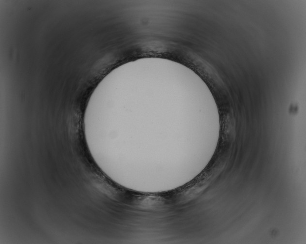 X0000100750463200807171416