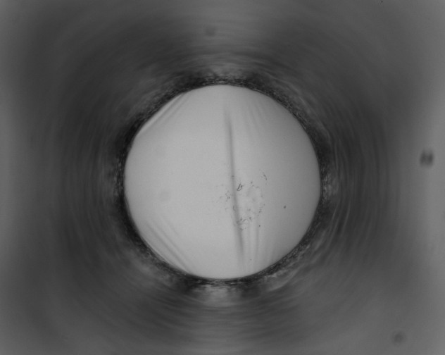 X0000100750464200807171416