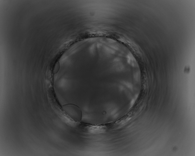 X0000100750465200807171416