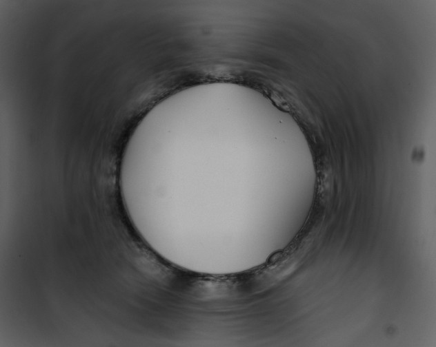 X0000100750466200807171416