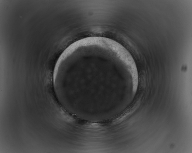 X0000100750467200807171416