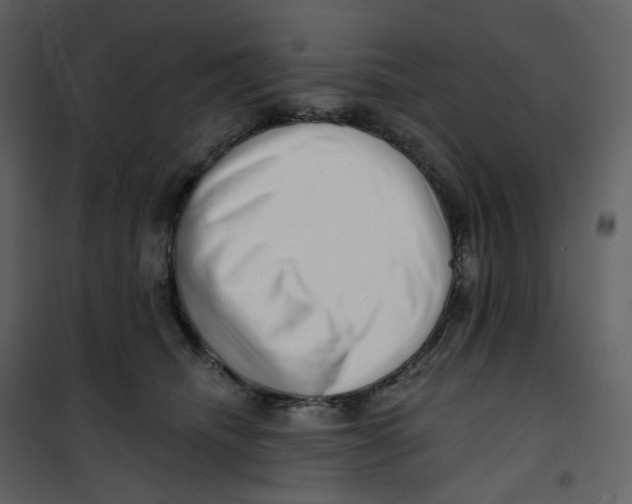 X0000100750468200807171416