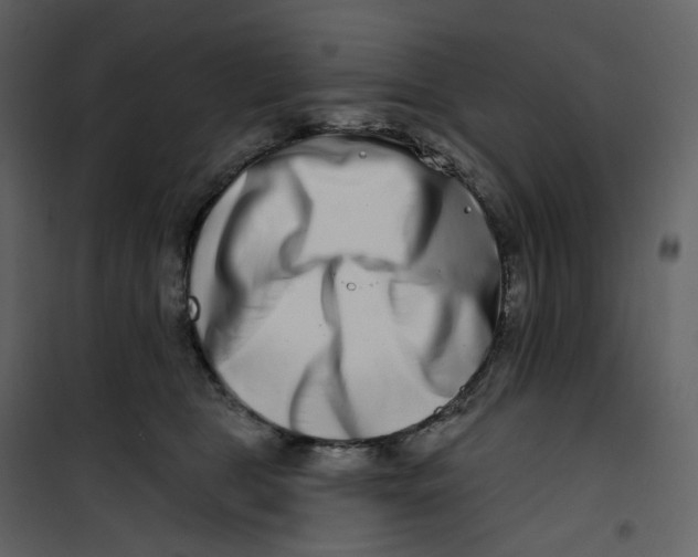 X0000100750469200807171416