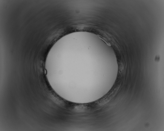X0000100750470200807171416