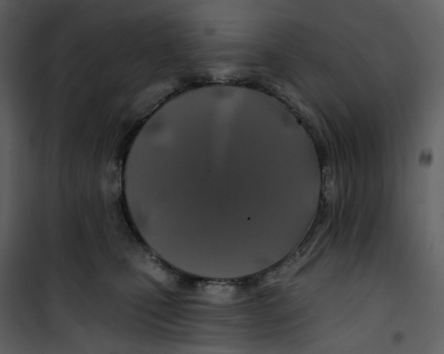 X0000100750471200807171416