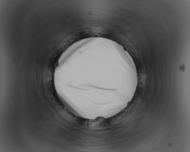 X0000100750472200807171416