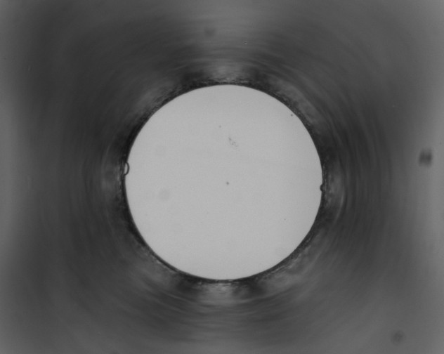 X0000100750473200807171416