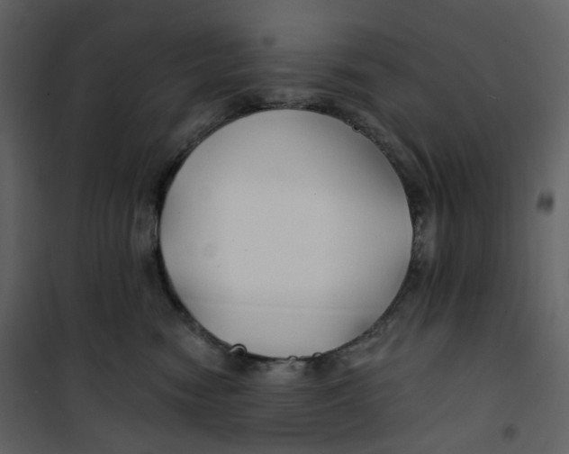 X0000100750474200807171416