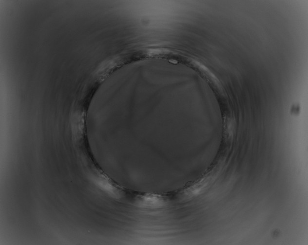 X0000100750475200807171416