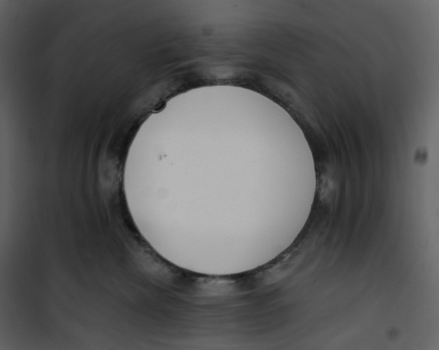 X0000100750476200807171416