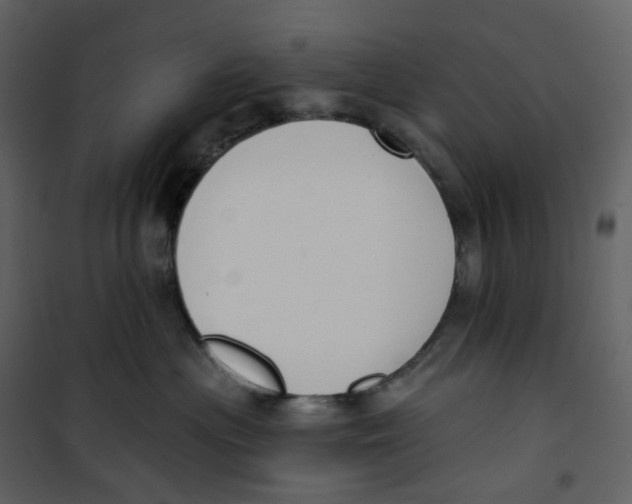 X0000100750477200807171416