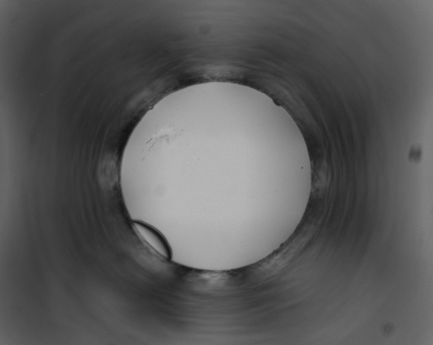 X0000100750478200807171416