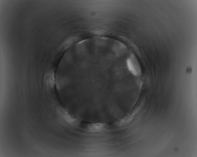 X0000100750479200807171416