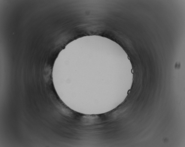 X0000100750480200807171416