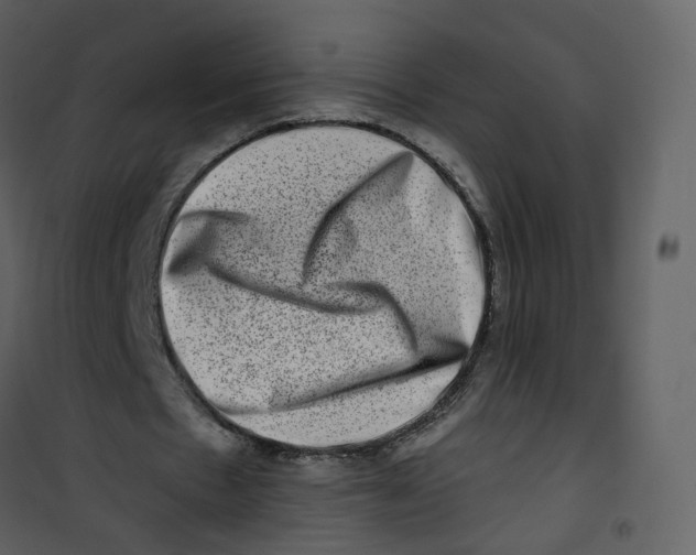 X0000100750481200807171415