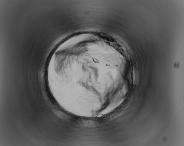 X0000100750483200807171415