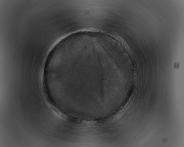 X0000100750484200807171415