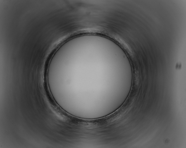 X0000100750486200807171415