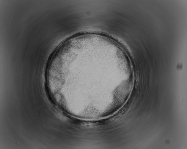 X0000100750487200807171415