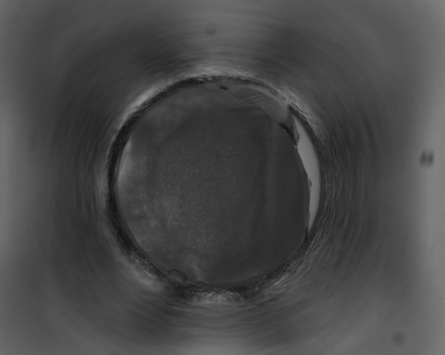 X0000100750488200807171415