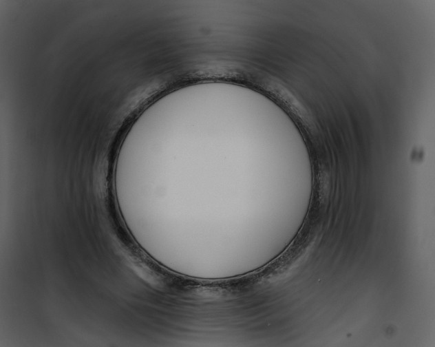 X0000100750490200807171415
