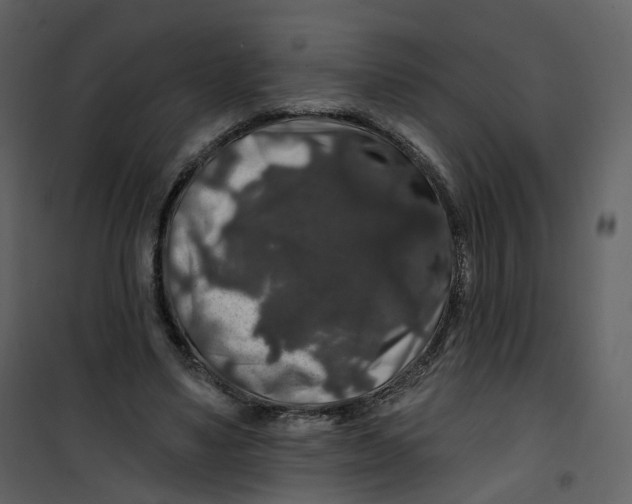 X0000100750491200807171415