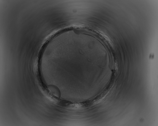 X0000100750492200807171415