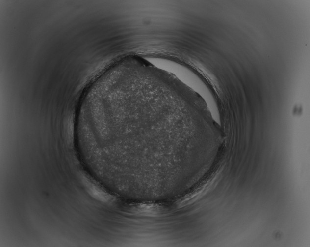 X0000100750493200807171415