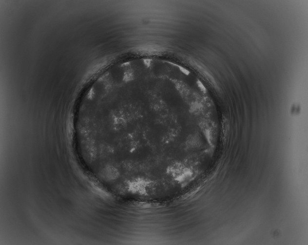 X0000100750494200807171415
