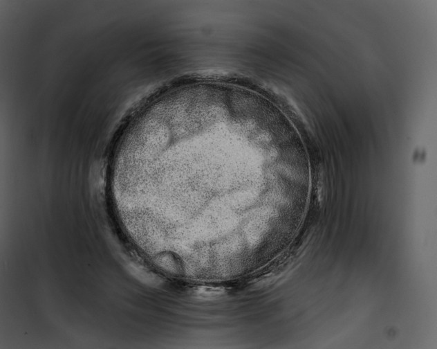 X0000100750495200807171415