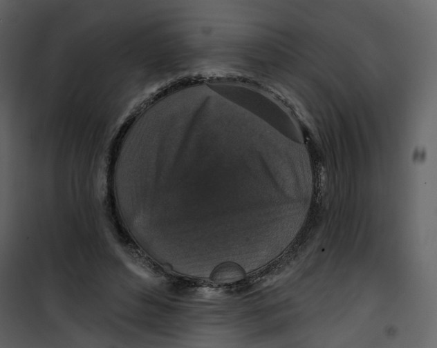 X0000100750496200807171415