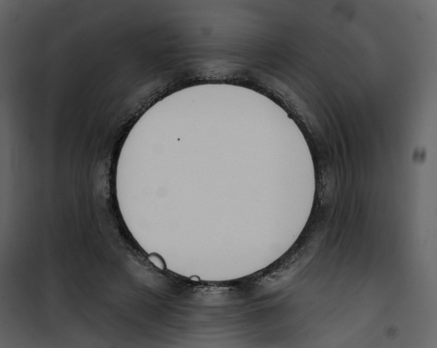 X0000100750497200807171415