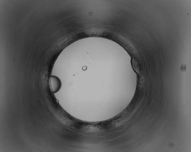 X0000100750498200807171415