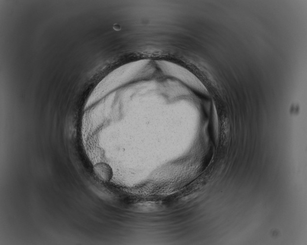 X0000100750499200807171415