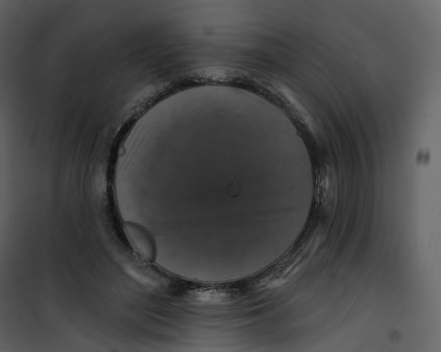 X0000100750500200807171415