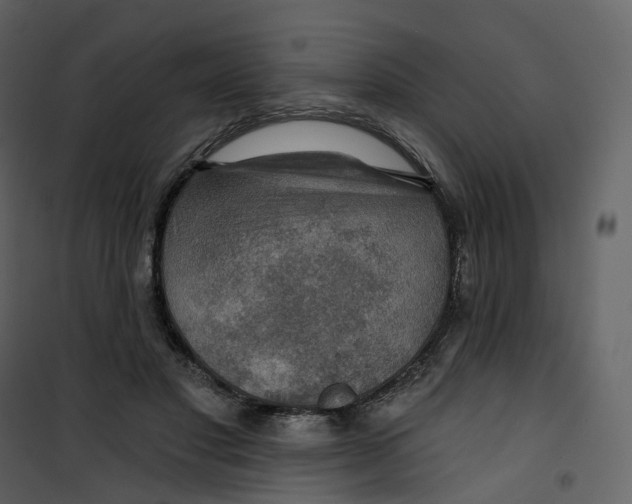 X0000100750501200807171415