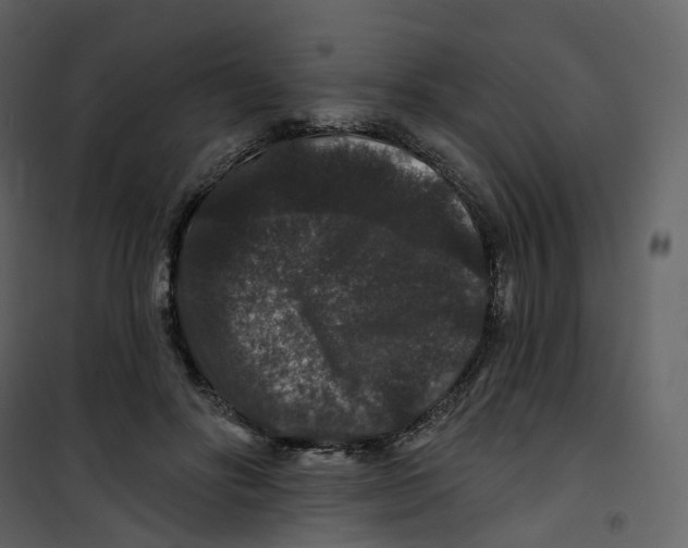 X0000100750502200807171415