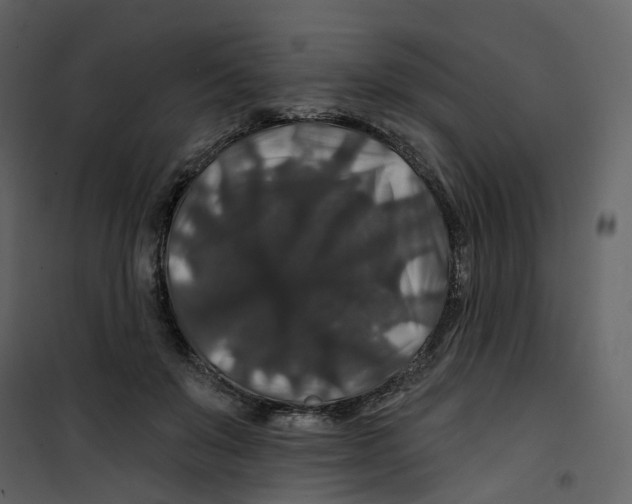X0000100750503200807171415