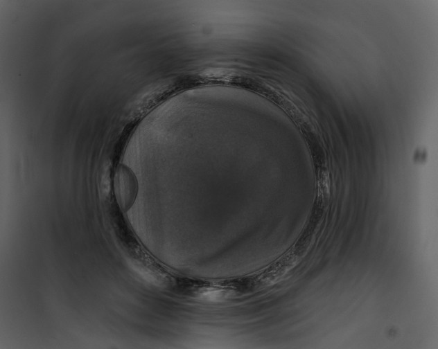 X0000100750504200807171415