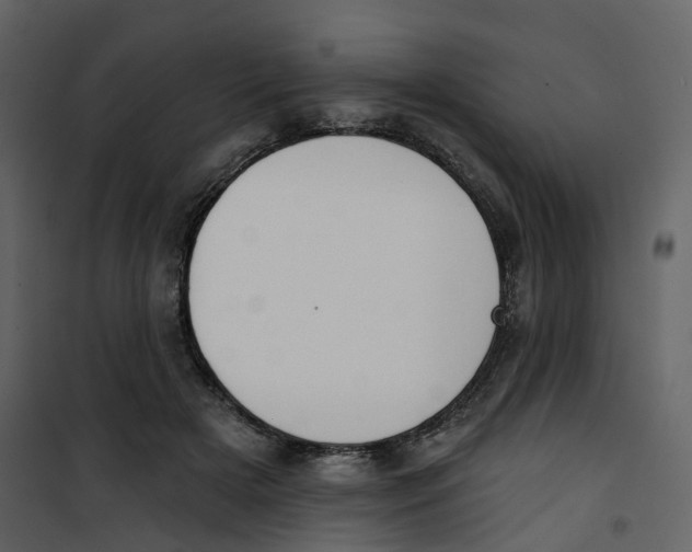 X0000100750505200807171415