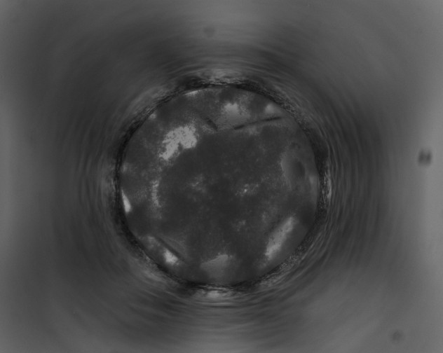X0000100750506200807171415