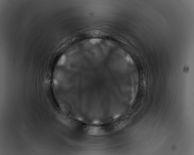 X0000100750507200807171415