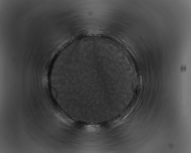 X0000100750508200807171415
