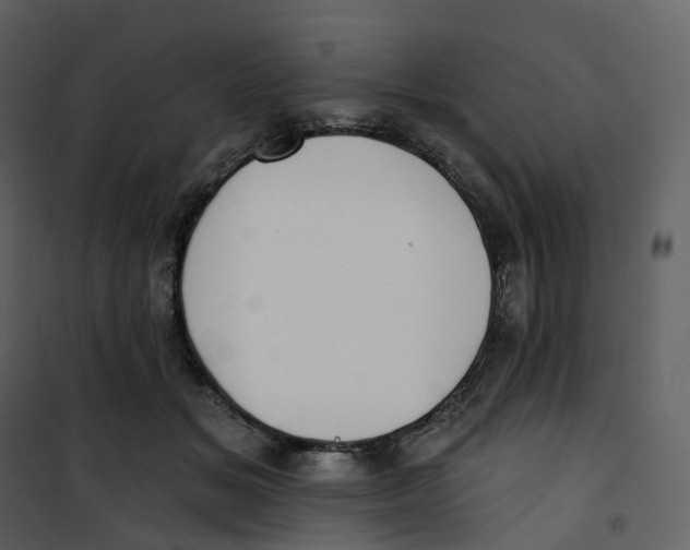 X0000100750509200807171415