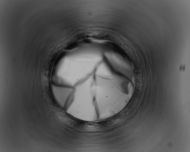 X0000100750510200807171415