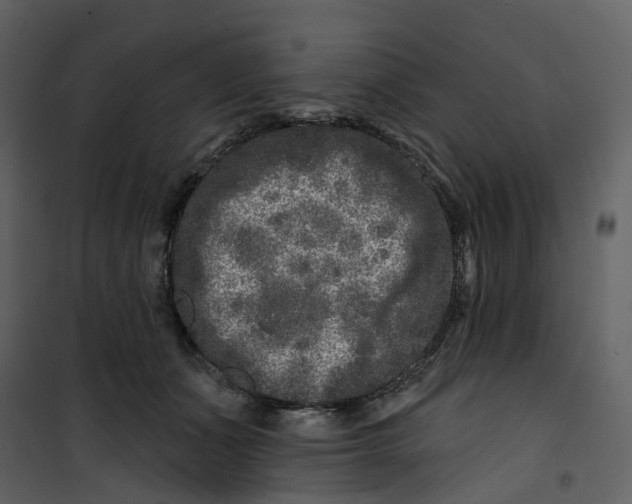 X0000100750511200807171415