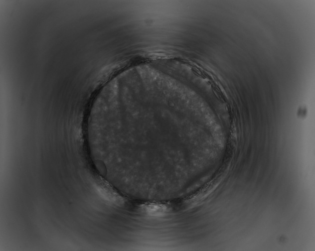 X0000100750512200807171415